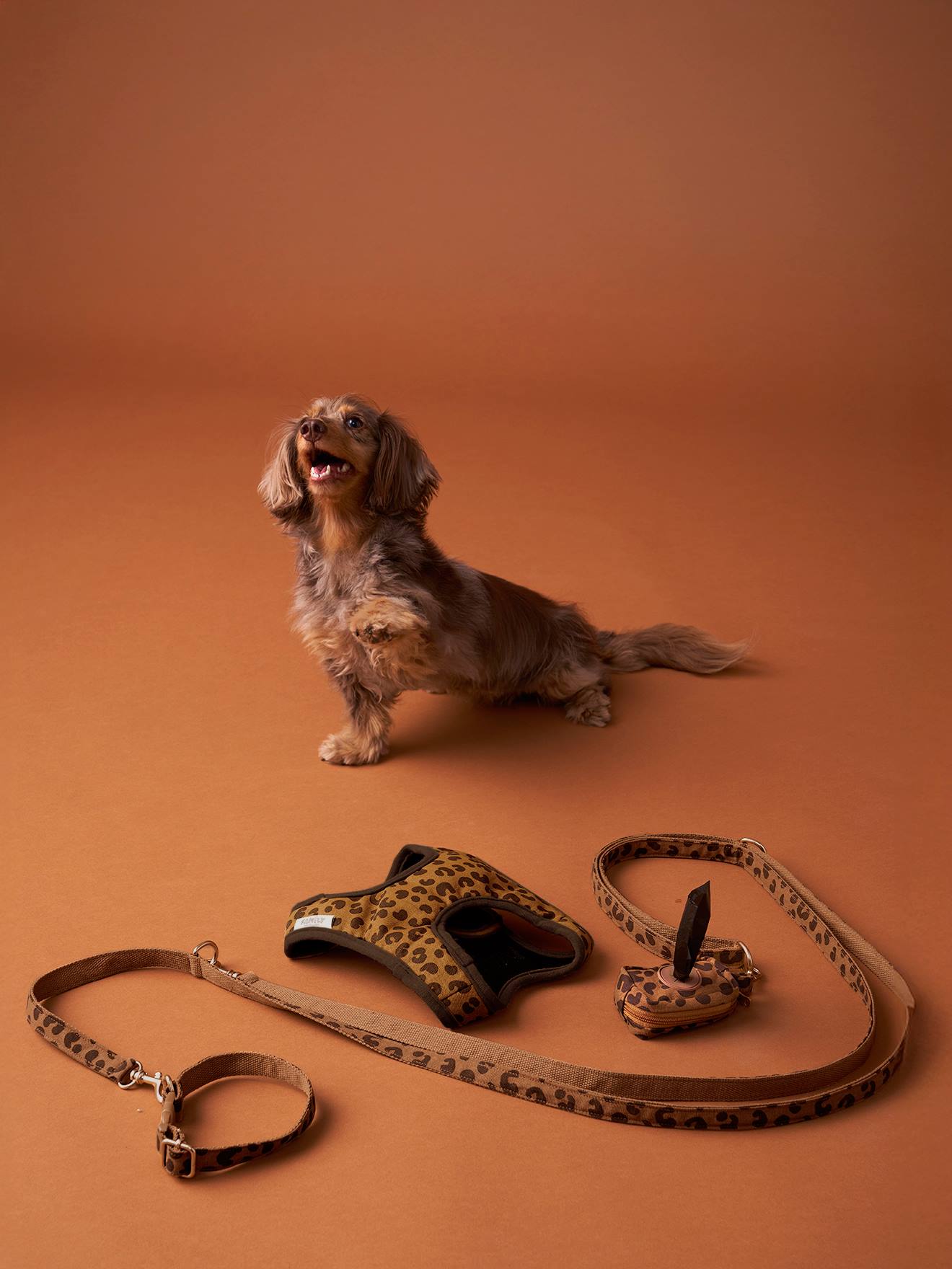 Set aus Geschirr, Leine und Halsband fr Hunde - kaffee