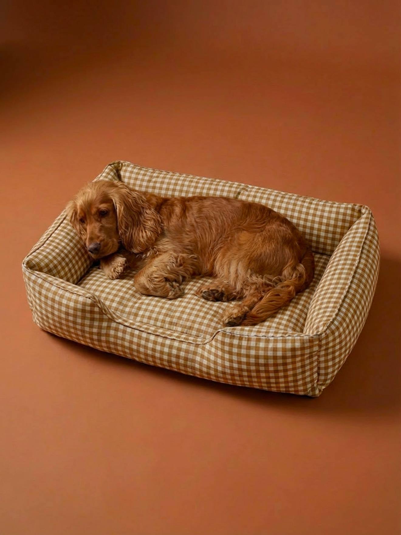 vertbaudet Hundebett mit herausnehmbarem Kissen, 2 Gren in beige kariert