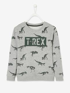 Jungenkleidung-Jungen Sweatshirt, Dinosaurier Oeko-Tex