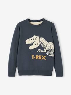 Jungenkleidung-Pullover, Strickjacken, Sweatshirts-Pullover-Jungen Pullover, T-Rex Oeko-Tex
