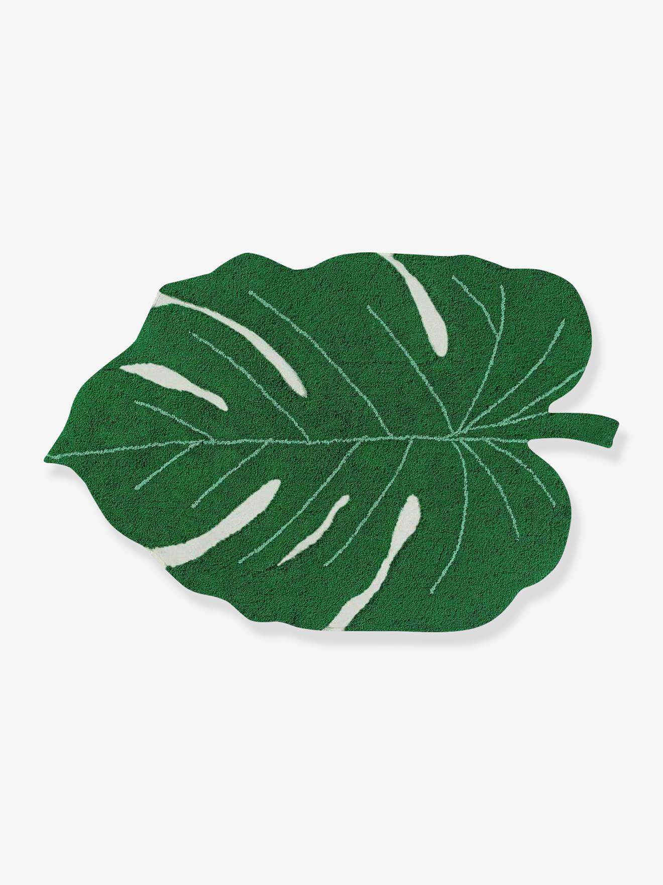 monstera care guide Organic Monstera Plant Food – The Grow Co main image 1