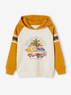 Jungenkleidung-Pullover, Strickjacken, Sweatshirts-Sweatshirts-Jungen Kapuzensweatshirt mit Print