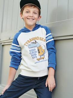 Jungenkleidung-Pullover, Strickjacken, Sweatshirts-Jungen Kapuzensweatshirt mit Print