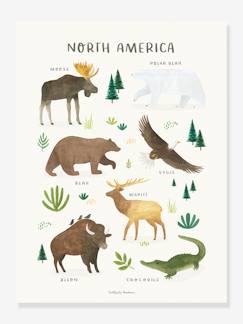 Dekoration & Bettwäsche-Dekoration-Bilder, Poster & Sonstiges-Kinderzimmer Poster „Living Earth“ Nordamerika LILIPINSO