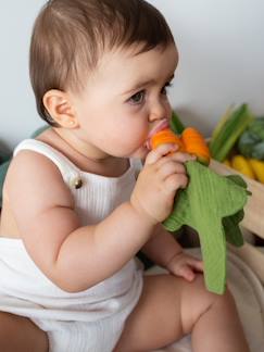 Babyartikel-Essen & Trinken-Schnuller & Beißringe-Baby Beißspielzeug und Schmusetuch „Cathy Karotte“ OLI & CAROL