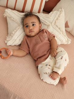 Babymode-Baby-Sets-Baby-Set: T-Shirt & Pluderhose