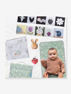 Spielzeug-Baby Geschenkbox für unterwegs TAF TOYS