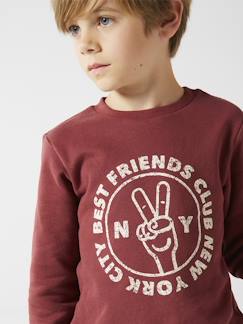 Jungenkleidung-Pullover, Strickjacken, Sweatshirts-Sweatshirts-Jungen Sweatshirt BASIC