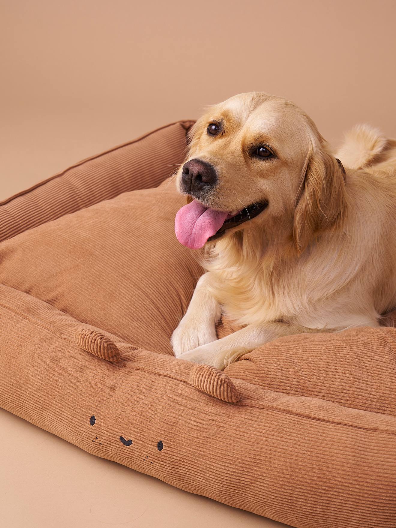 Gepolstertes Hundebett mit abnehmbaren Bezug